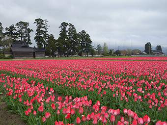 農家レストラン大門 おおかど 富山県の農家レストラン 里の物語