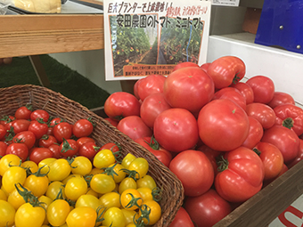 安田農園ふれあい市場 鹿児島県の直売所 里の物語