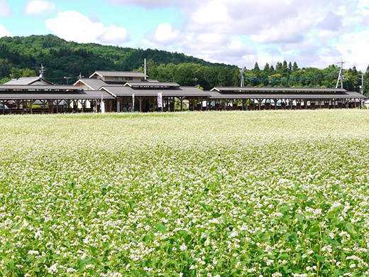 ｊａちちぶそば道場 あらかわ亭 体験案内 埼玉県の農家民宿 里の物語