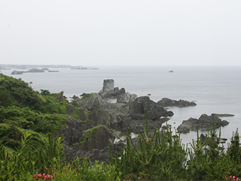 民宿たきもと 新潟県の農家民宿 里の物語