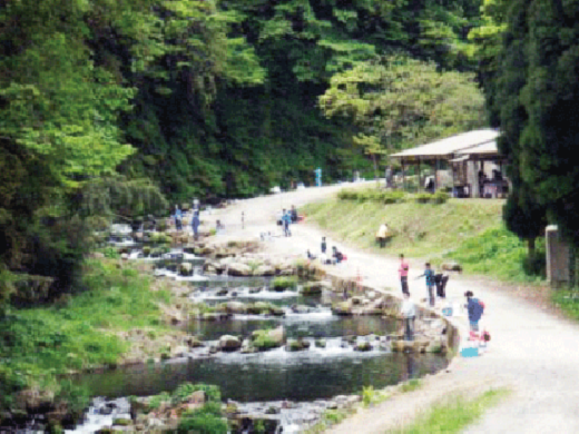 清流遊YOU村 食事処の外観