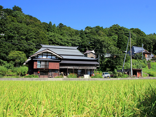 農家民宿うしだ屋 新潟県の農家民宿 里の物語