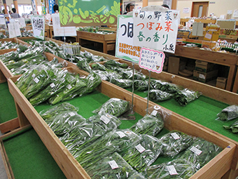 Jaさがえ西村山 アグリランド 産直センター 山形県の直売所 里の物語