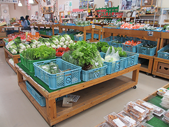 道の駅 おおすみ弥五郎伝説の里 やごろう農土家市 鹿児島県の直売所 里の物語