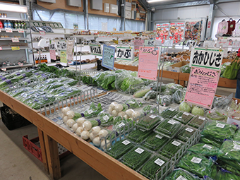 農産物直売所 なのはな 本店 千葉県の直売所 里の物語