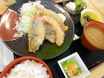 道の駅 保田小学校 里山食堂の外観