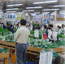 JA大阪泉州 農産物直売所 こーたり～な | 大阪府の直売所 | 里の物語