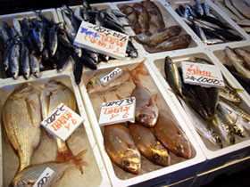 道の駅 ポート赤碕 鳥取県の直売所 里の物語