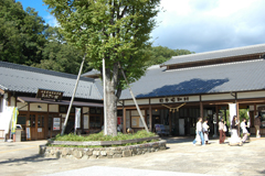 やまびこの写真(岐阜県美濃加茂市)